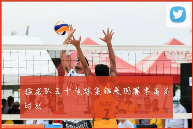 猛龙队五十佳球集锦展现赛季高光时刻