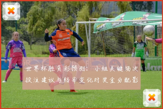 世界杯胜负彩预测:小组关键场次投注建议与赔率变化对奖金分配影响