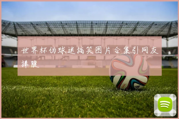 世界杯伪球迷搞笑图片合集引网友捧腹