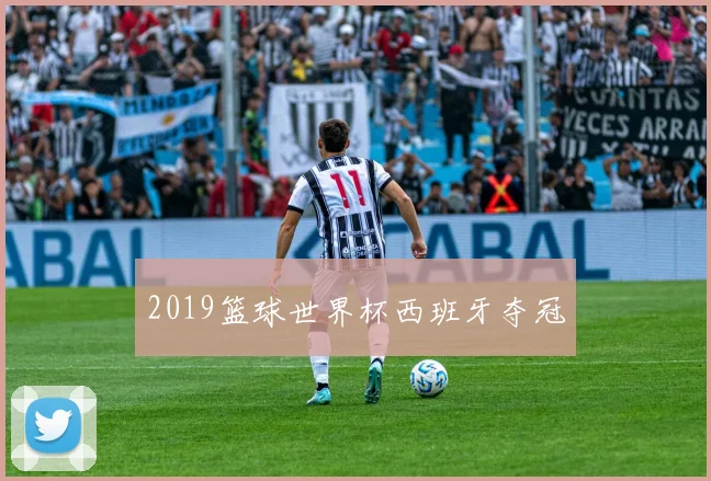 2019篮球世界杯西班牙夺冠