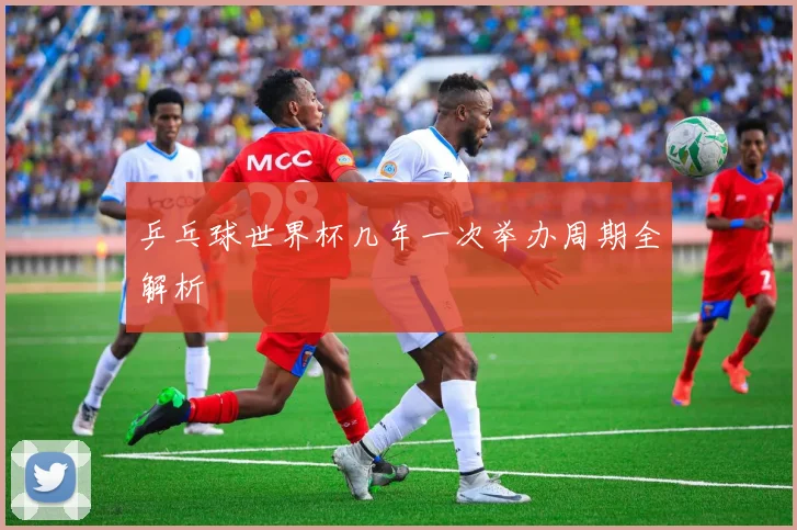 乒乓球世界杯几年一次举办周期全解析