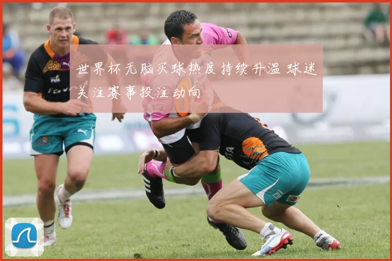 世界杯无脑买球热度持续升温 球迷关注赛事投注动向
