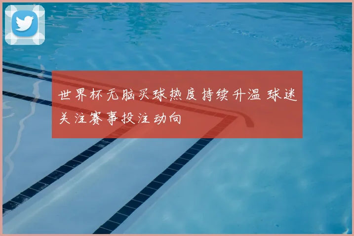 世界杯无脑买球热度持续升温 球迷关注赛事投注动向