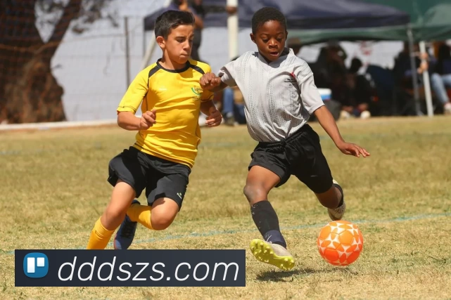 开云体云app官网登录入口 - 开云(中国)APP 封面图